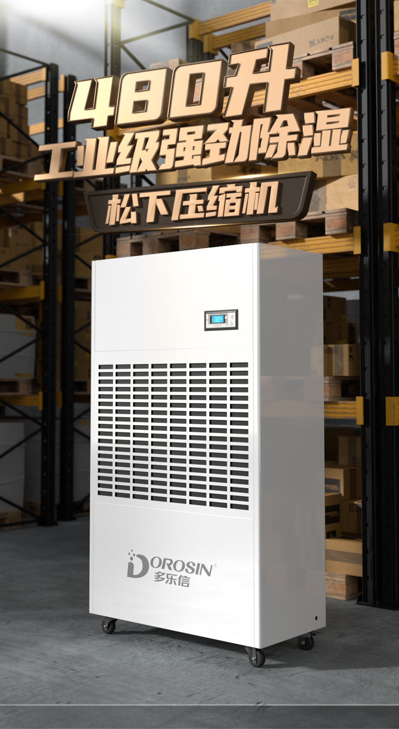 DP-20s_01.jpg