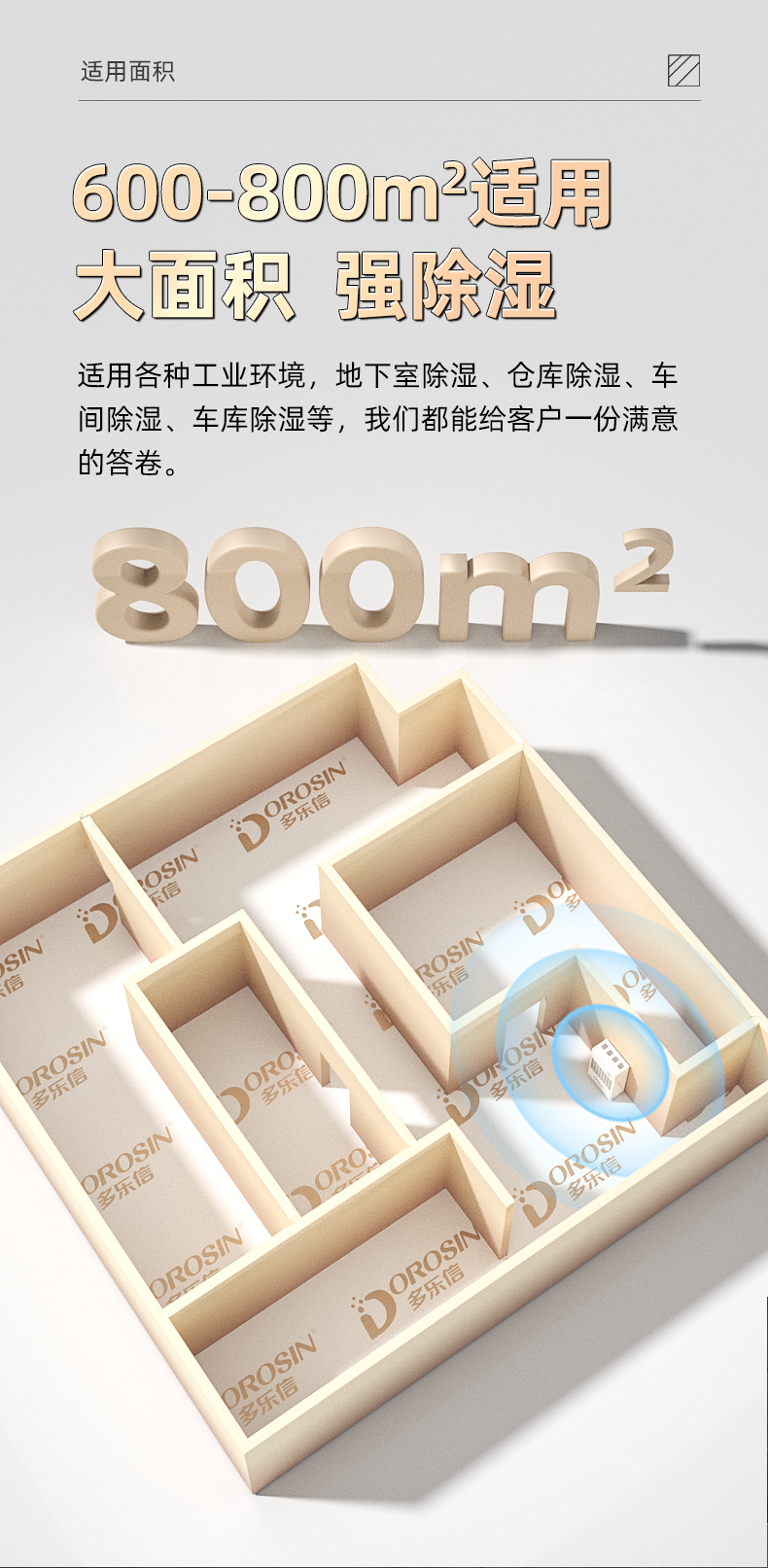 DP-20s_06.jpg