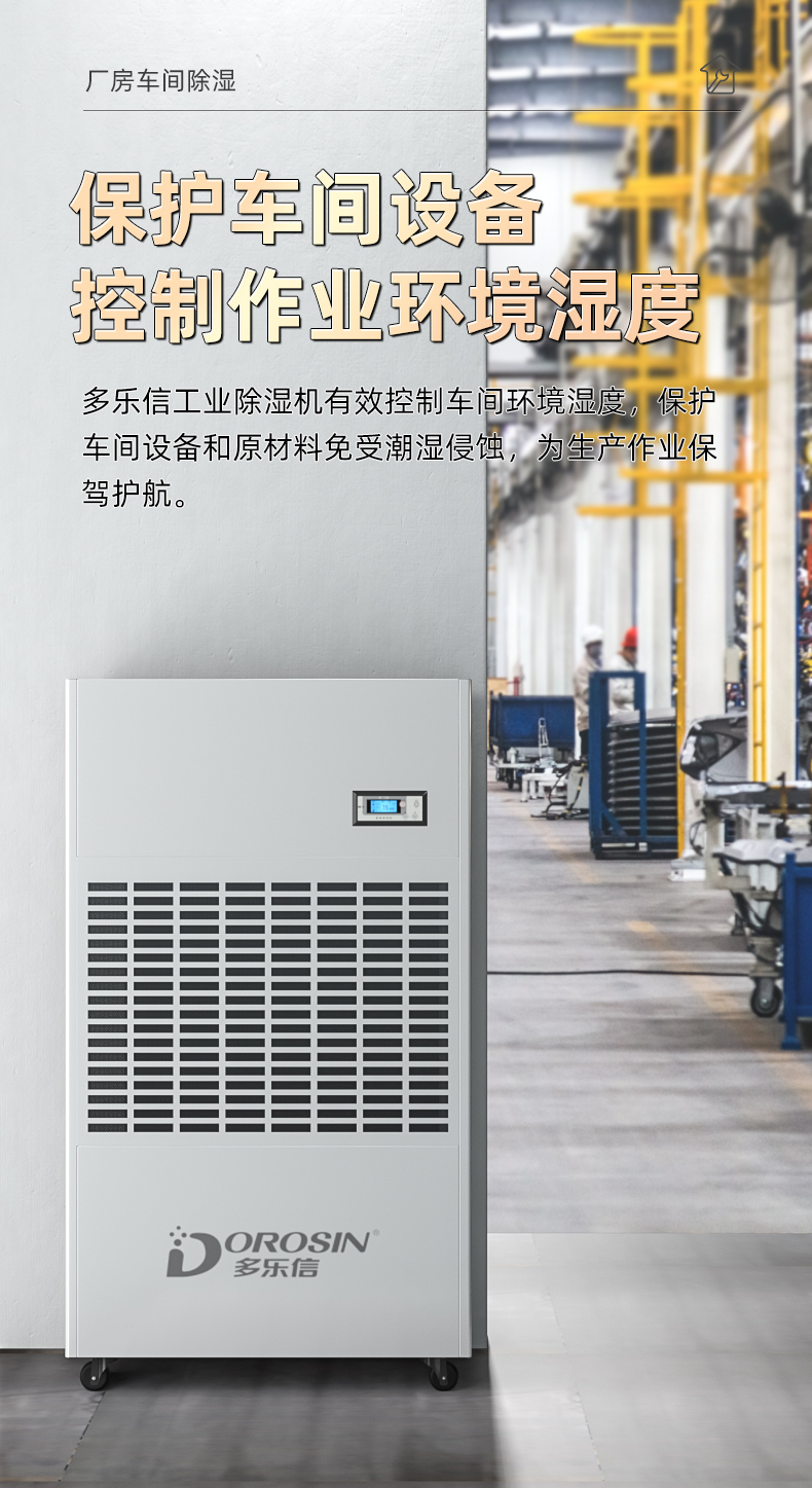 DP-20s_08.jpg